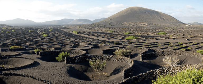 Winnice La Geria w wulkanicznym popiele, Lanzarote
